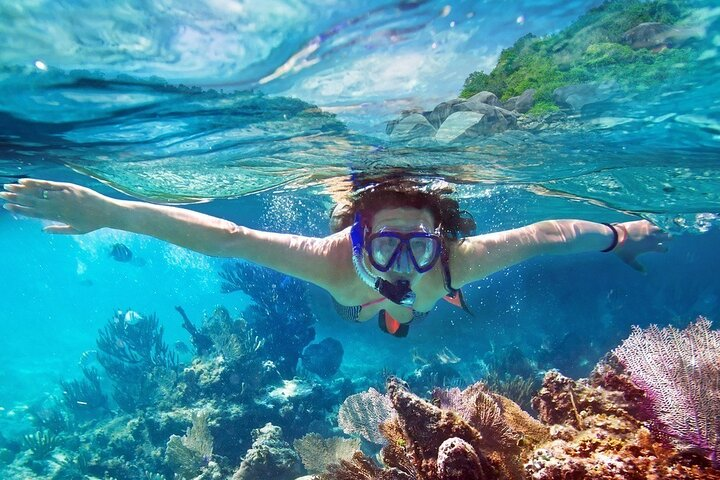 Snorkeling in Bar Reef Marine Sanctuary - Photo 1 of 6